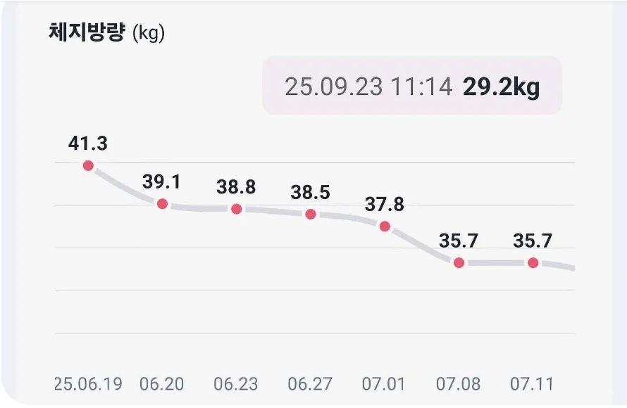 회원 체지방량 그래프: 41.3kg에서 29.2kg으로 감소 (2025.06–2025.09)